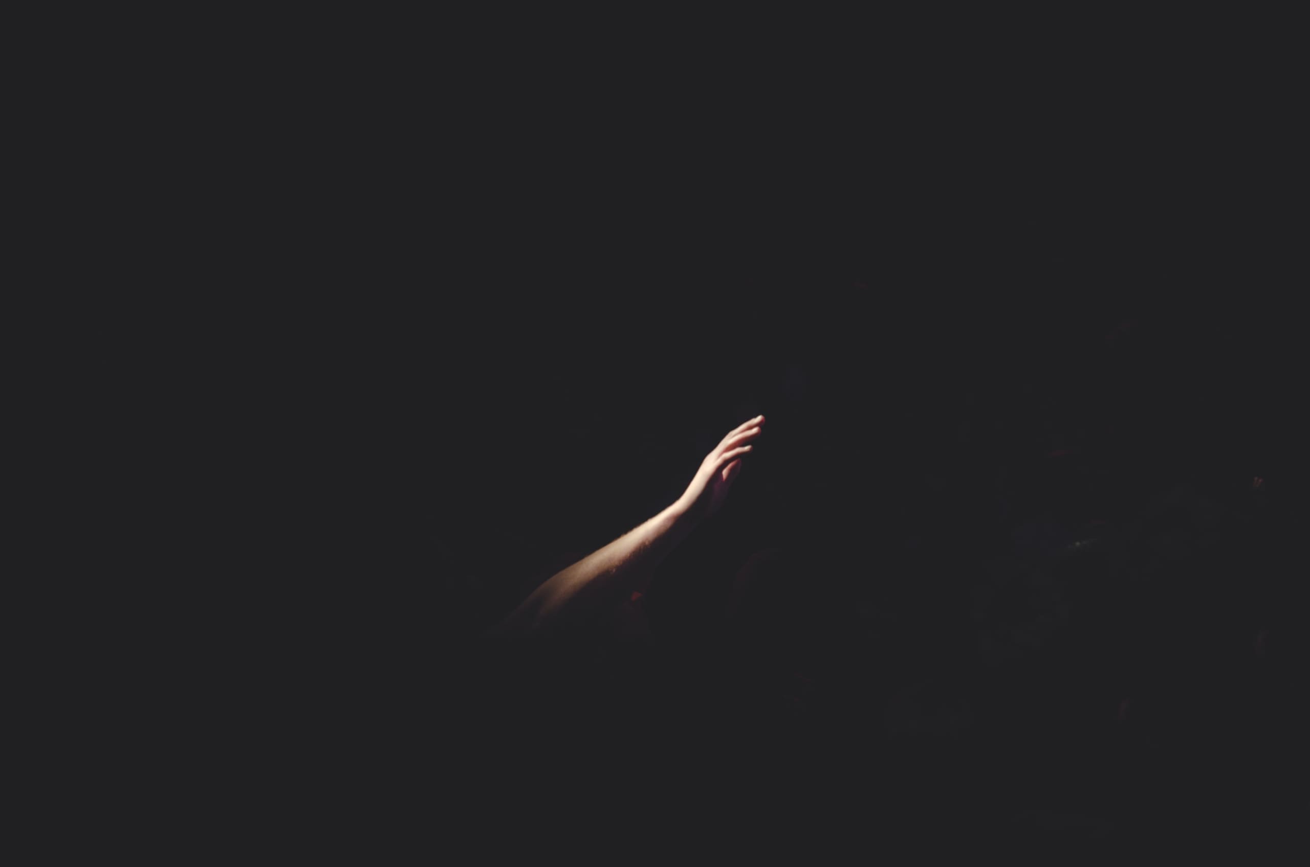 Developing a Palm Scanner Solution for Payments Like Amazon One: Whys and Hows